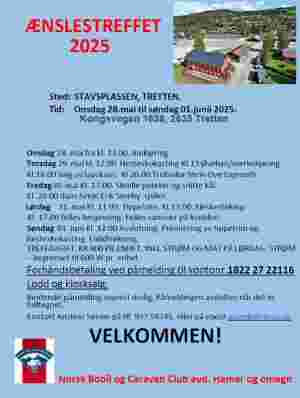 Ænslestreffet