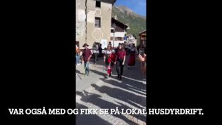 Dezarpa-festivalen i Alpene